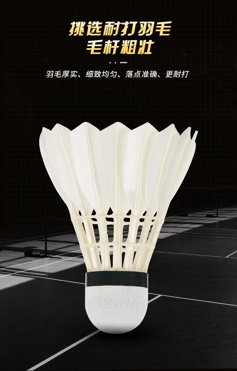 New 12PCS Professional Badmint - огляд і ціна Badminton Youtube