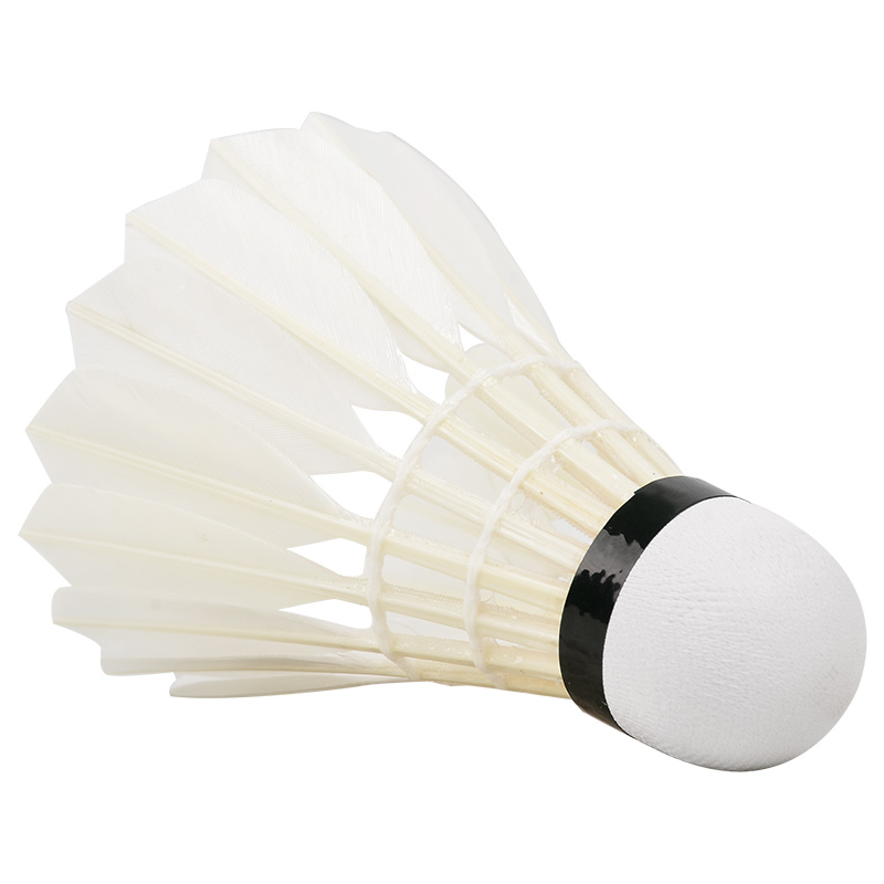 New 12PCS Professional Badmint - огляд і ціна Badminton Youtube