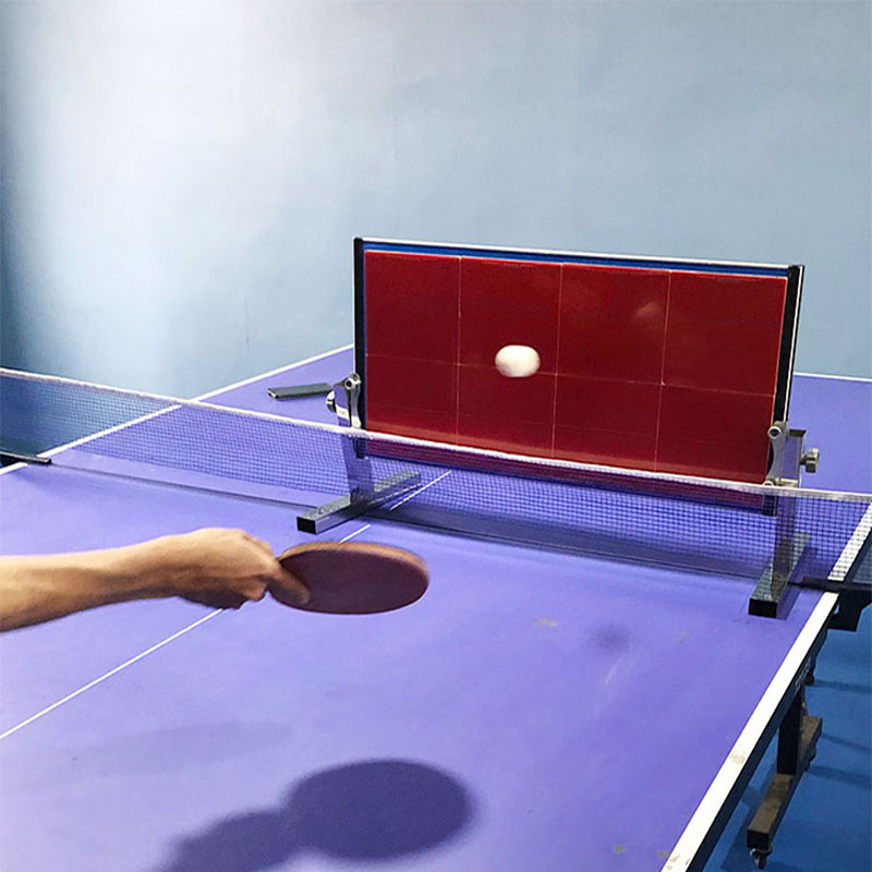 Home Table Tennis Rebound Boar - огляд і ціна Badminton Smash